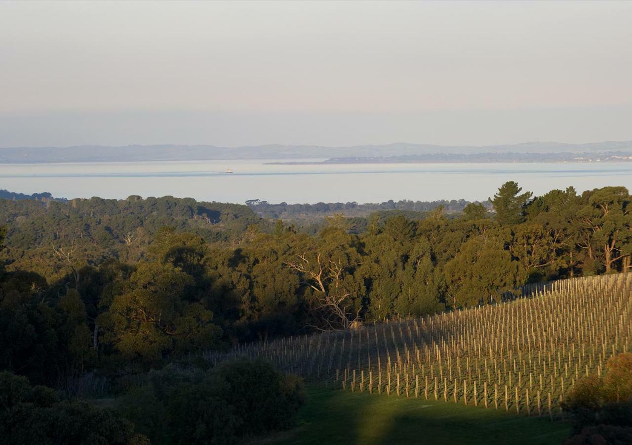 ホテル Port Phillip Estate Red Hill South エクステリア 写真