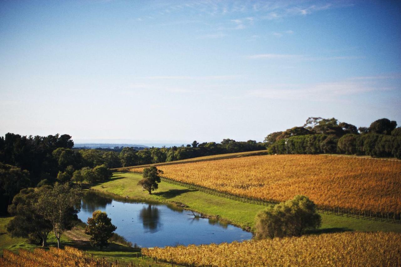 ホテル Port Phillip Estate Red Hill South エクステリア 写真